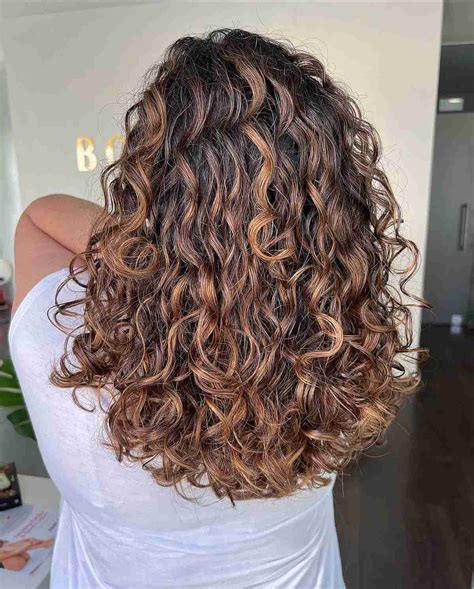 copper highlights on dark brown curly hair|64 Stunning Brown Hair with Highlights Ideas for 2025